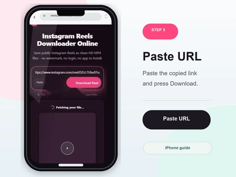Step 3 - Paste and tap Download