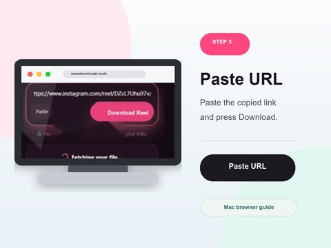 Step 3 - Paste and click Download